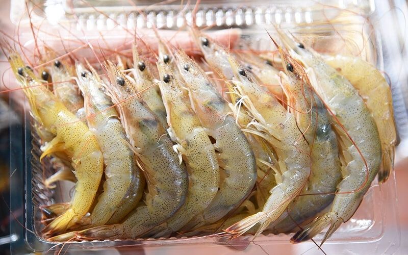 Tôm rảo