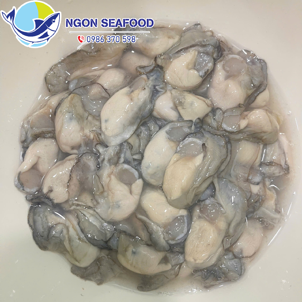 Hàu sữa Quảng Ninh