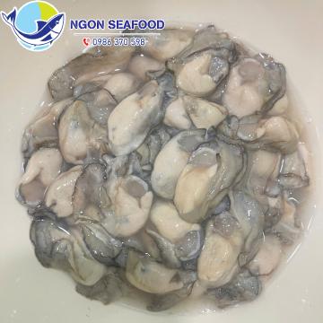 Nuôi Hàu Bằng Vỏ Hàu – Bí Quyết Cho Chất Lượng Thượng Hạng
